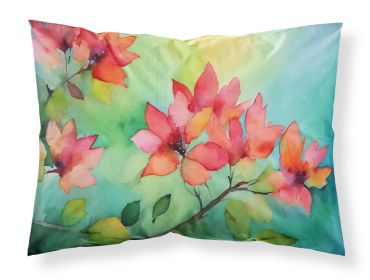 Missouri Hawthorns in Watercolor Standard Pillowcase Lightweight Super Soft Easy Care Decorative Artwork Pillowcase, Standard (Default: Default)
