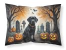 Black Labrador Retriever Spooky Halloween Standard Pillowcase Lightweight Super Soft Easy Care Decorative Artwork Pillowcase, Standard